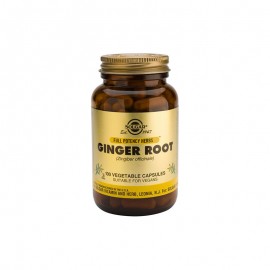 Solgar Εκχύλισμα Τζίντζερ για υγεία Πεπτικού Συστήματος Ginger 520 mg  100 vcaps