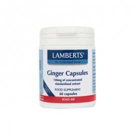Lamberts Συμπλήρωμα Τζίντζερ Ginger 120mg 60caps