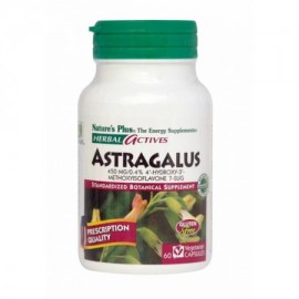 Natures Plus Συμπλήρωμα Διατροφής Αστράγαλος 450 mg  Astragalus 60 caps