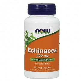 Εχινάκεια για την Ενίσχυση του Ανοσοπoιητικού Συστήματος, Κρυολογήματα και Αλλεργίες Echinacea 400 mg Purpurea Root Now 100 caps