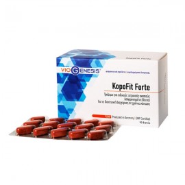 Viogenesis Συμπλήρωμα Διατροφής για Τόνωση & Ενέργεια  KopoFit Forte 90 tabs
