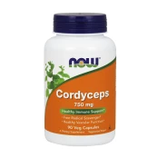 Nutritional Supplement For Vascular Health Cordyceps 750mg Now 90 vcaps
