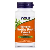 Now Stinging Nettle Root Extract 250 mg Συμπλήρωμα Διατροφής με Εκχύλι &hellip;
