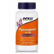 Now Pycnogenol Συμπλήρωμα Πυκνογενόλης για Ενίσχυση του Ανοσοποιητικού &hellip;