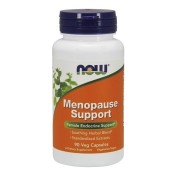 Συμπλήρωμα Διατροφής Για την Εμμηνόπαυση Menopause Support Now 90 vcap &hellip;
