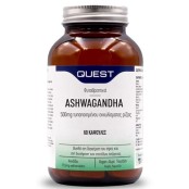 Quest Ashwagandha 500mg Extract Συμπλήρωμα Διατροφής με Εκχύλισμα Ασβα &hellip;