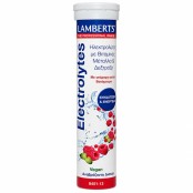 Lamberts Electrolytes Αναβράζοντα Δισκία με Γεύση Berry 13 Αναβράζοντα &hellip;