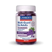 Lamberts Multi-Guard for Adults Συμπλήρωμα Διατροφής Πολυβιταμίνη για &hellip;