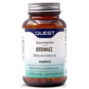 Quest Ιπποφαές 500mg Συμπλήρωμα Διατροφής Λιπαρών Οξέων 60+30caps