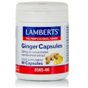 Lamberts Συμπλήρωμα Τζίντζερ Ginger 120mg 60caps