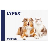 VetPlus Lypex Συμπλήρωμα Διατροφής για Παγκρεατικά Προβλήματα σε Σκύλο &hellip;