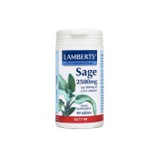 Lamberts Εκχύλισμα Φασκόμηλου Sage 2500mg 90tabs