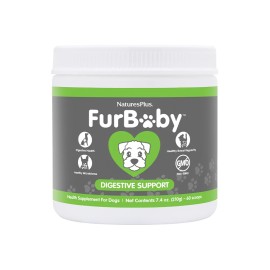 Natures Plus Συμπλήρωμα Διατροφής για Υγεία Πεπτικού Συστήματος για Σκύλους FurBaby Digestive Support 60scoops