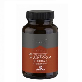 Συμπλήρωμα Mushroom Synergy Terranova 50caps