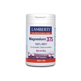 Lamberts Μαγνήσιο Magnesium 375 180tabs