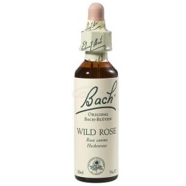 Power Health Ανθοΐαμα Wild Rose No.37 Bach Rescue 20 ml