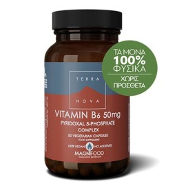Βιταμίνη Β6 50mg vitamin B6 50mg Terranova 50 caps