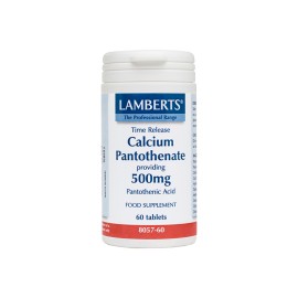 Lamberts Βιταμίνη B5 (Παντοθενικό Οξύ) Calcium Pantothenate 500mg 60tabs