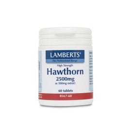 Lamberts Συμπλήρωμα Κράταιγου για Υγεία Καρδιάς Hawthorn 2500mg 60tabs