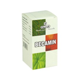 CHARAK AYURVEDA BECAMIN 100 TABS