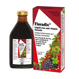Power Health Συμπλήρωμα Διατροφής Με Οργανικό Σίδηρο & Βιταμίνες Floradix Liquid Iron Formula Salus 250 ml