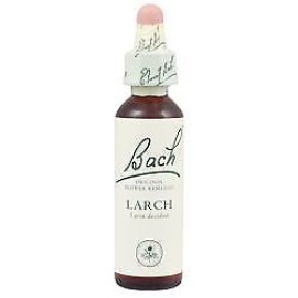 Power Health Ανθοΐαμα No.19 Larch Bach Rescue 20 ml