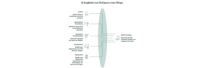 Πεπτικά Ένζυμα: Το Απαραίτητο «Sine Qua Non» για την Πέψη και την Ευεξ &hellip;