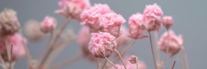 Κολπική Ξηρότητα: Γιατί συμβαίνει και πώς μπορείτε να την αντιμετωπίσε &hellip;