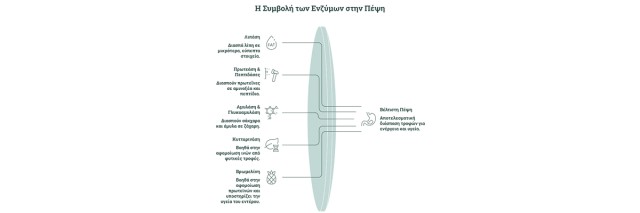 Πεπτικά Ένζυμα: Το Απαραίτητο «Sine Qua Non» για την Πέψη και την Ευεξία σας