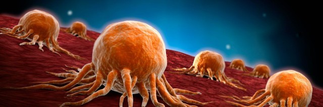 Pourquoi le cancer na pas disparu au fur et à mesure de sélection naturelle?