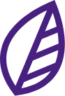 central pharmacy leaf icon right